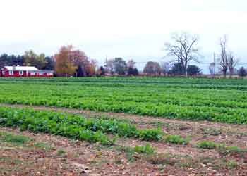 Home — lower left at Budds KnP Farms & Country Market, Pemberton NJ